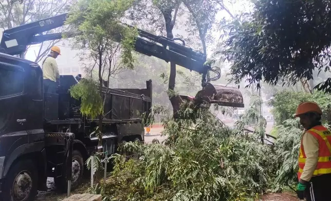 路政署表示中午前清理主要道路塌樹。FB圖片