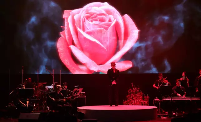 Janees現場演繹參賽歌《槍與玫瑰》。