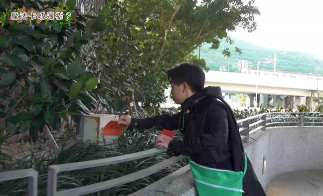 6膠要在限時內集齊50張散落於王國不同角落的魔法卡。