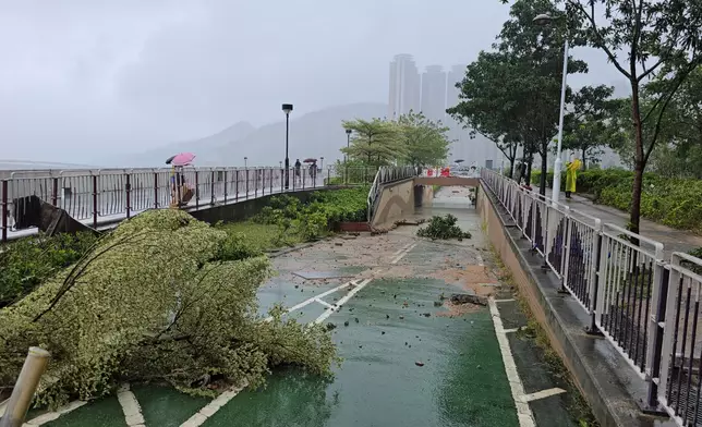 巴士的報記者攝