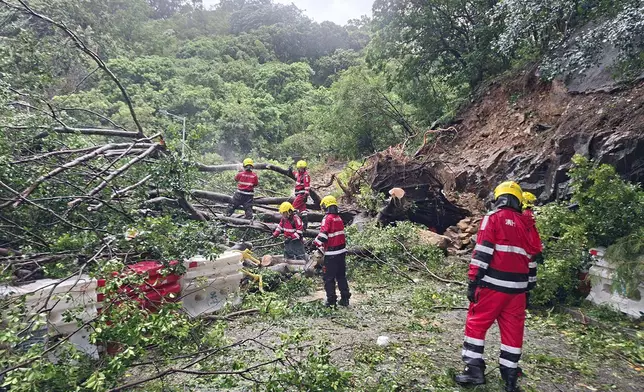 風暴期間多處發生塌樹，各部門合力清理路面。消防處fb圖片