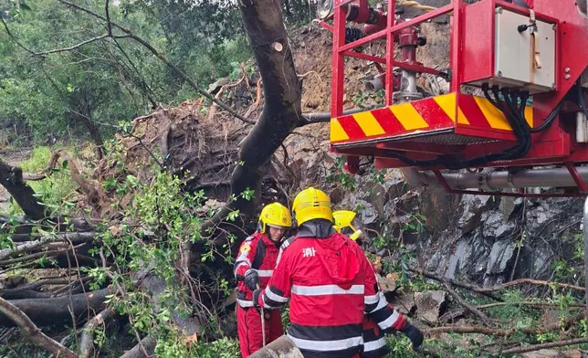 風暴期間多處發生塌樹，各部門合力清理路面。消防處fb圖片