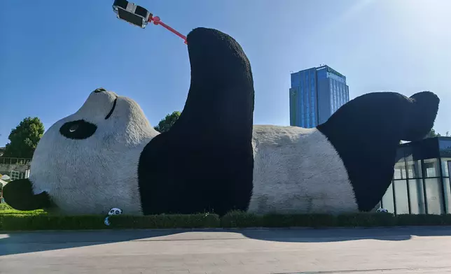 「自拍熊貓」。巴士的報記者攝