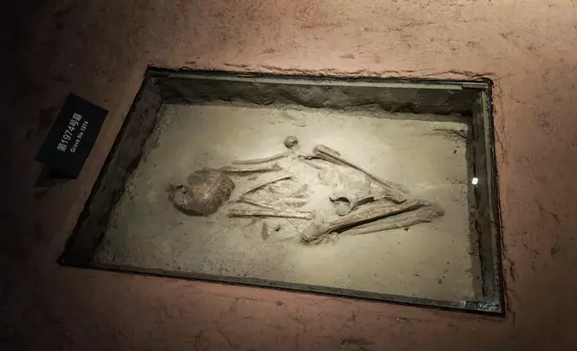 出土骸骨。巴士的報記者攝