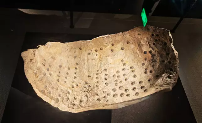 出土龜甲。巴士的報記者攝