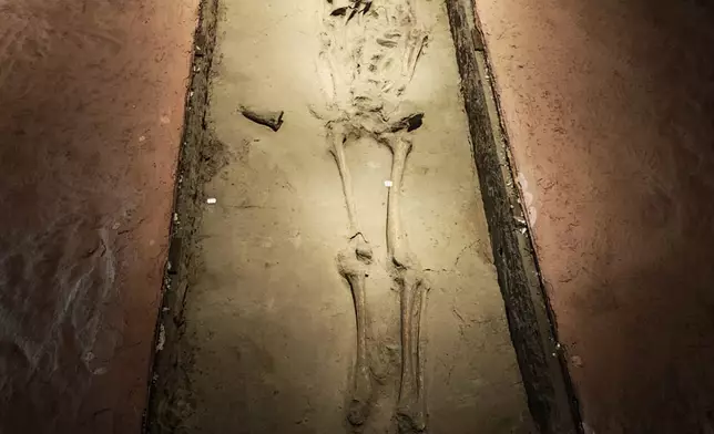 出土骸骨。巴士的報記者攝