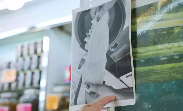 定欣和「媽媽的手」偶遇。