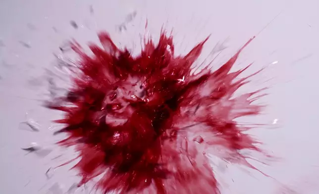 《黑色月光》入圍宣傳片截圖