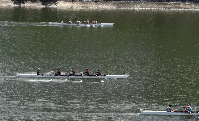 參加者投入參與傳承划四人雙槳有舵手艇賽事。 政府新聞處圖片