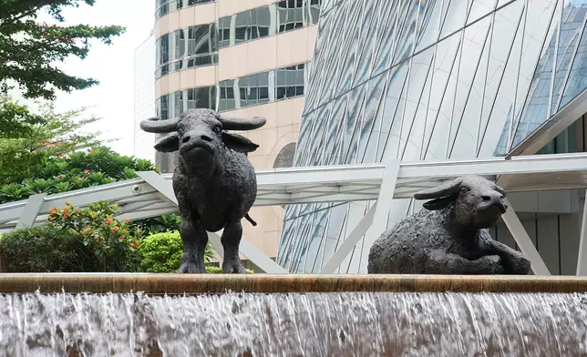 連少冬認為港隨著公司數目和國際投資者增加，港股成交可再升。(巴士的報記者攝)