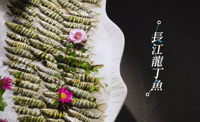 三人在華哥的帶領下品嚐聞名的重慶火鍋當中包括毛肚、一斤叫價$1200元的長江龍丁魚等