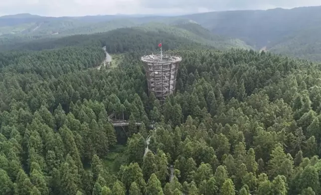 今晚（24號）播出一集，三人走進重慶森林，登上仙女山上的「森林之眼」。