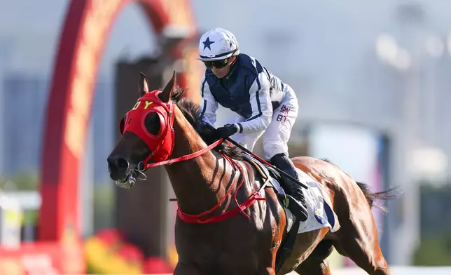 由葉楚航訓練的「舉步生風」，在騎師巴度胯下奪得總獎金高達420萬港元的三級賽國慶盃（1000米讓賽），取得該馬出道以來最重要的勝利。香港賽馬會圖片