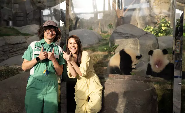 與熊貓寶寶近距離互動。