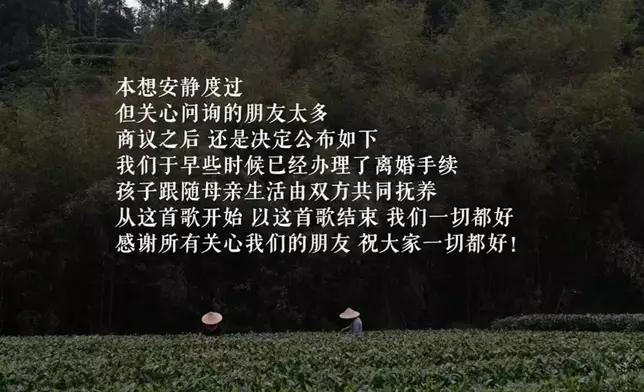 李亞鵬與細19歲嫩妻海哈金喜結束三年婚姻。