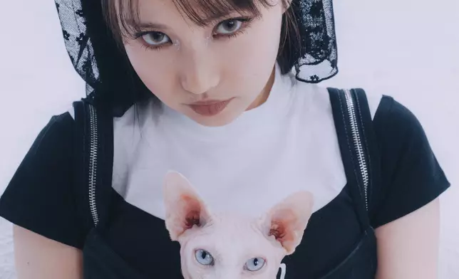 今次曲風節奏澎湃。