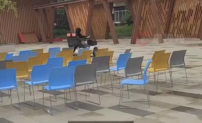 四川街頭驚現拉布拉多犬駕駛電動代步車。影片截圖