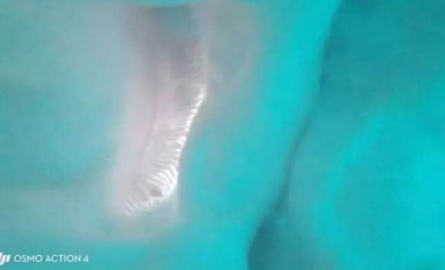 男子在馬爾代夫潛水相機遭鯊魚吞下又吐出。網上圖片