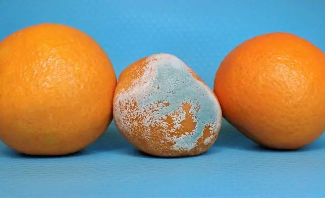 食物發霉應整塊丟棄，切勿切走壞處繼續進食。資料圖片