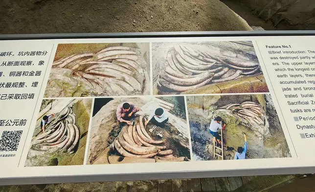 館方採用就地回埋的保護方法，依靠原始環境保存象牙。巴士的報記者攝