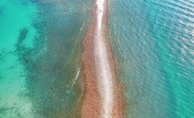 橋咀洲。政府新聞處資料圖片）