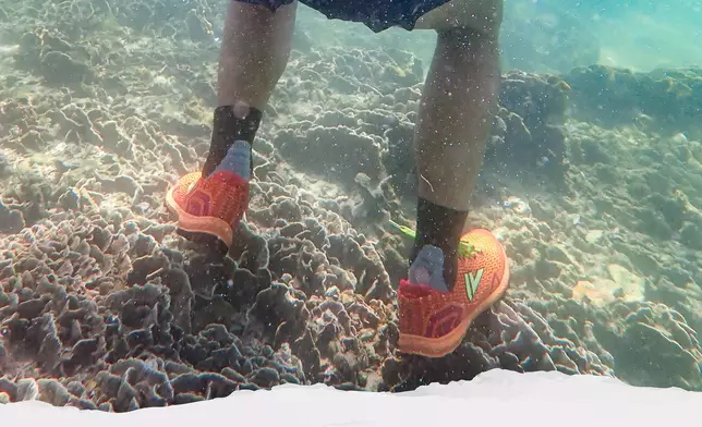 Greenpeace 綠色和平 - 香港網站 FB