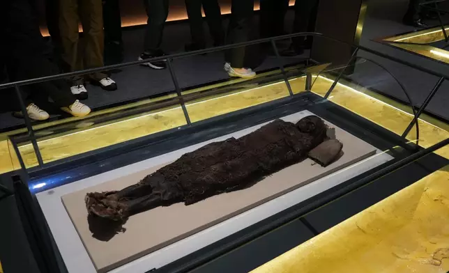 巴士的報記者攝