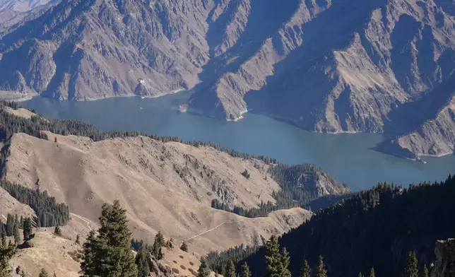 巴士的報記者攝