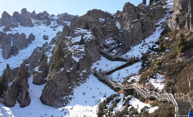 巴士的報記者攝