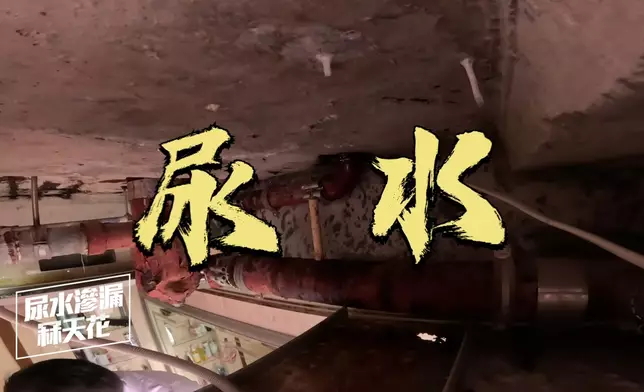 頭炮個案災情相當嚴重。