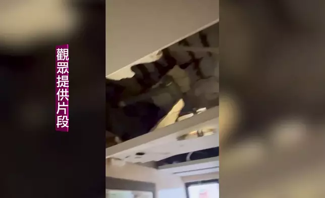 頭炮個案災情相當嚴重。