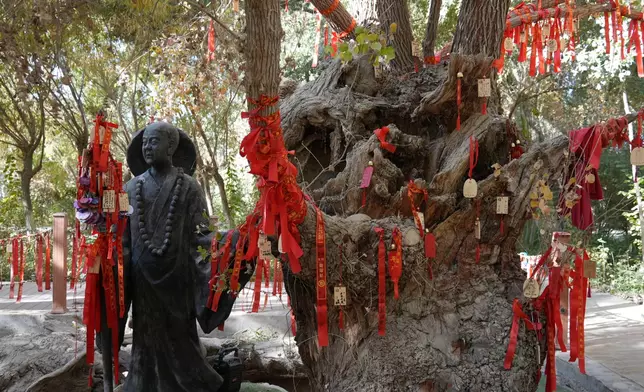 「胡楊王」樹齡超過1400年。巴士的報記者攝