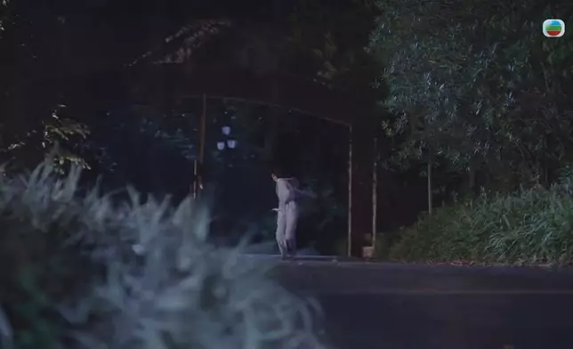 煒哥逃離暴力老公魔掌，B哥及時出現英雄救美。