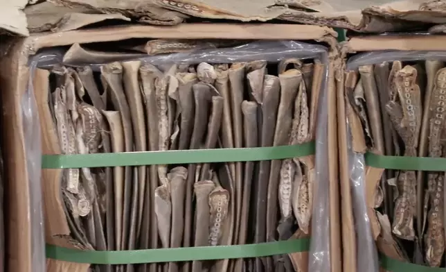 行動中檢獲的驢皮