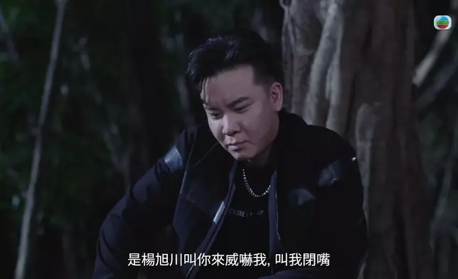 當年金榮原先只打算恐嚇定國，豈料定國失足滾下小山坡，頭撞硬石而死。