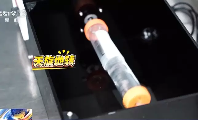 新華社報道，中國科學院專家已經從48隻備選小鼠中，選定4隻，是中國首次送小鼠進入「太空家園」