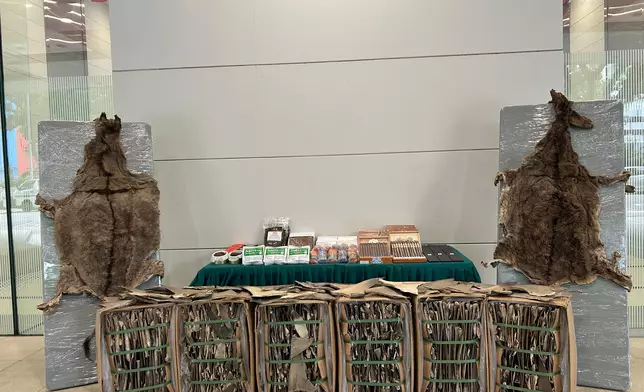 ​香港海關偵破兩宗利用內河船及遠洋船走私約二億元貨物案件。政府新聞處圖片