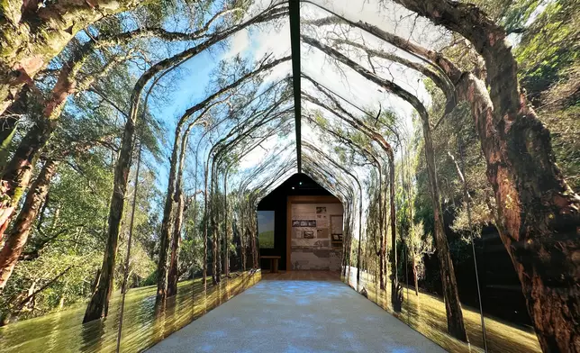 ​城門郊野公園遊客中心明日重新開放 政府新聞處圖片