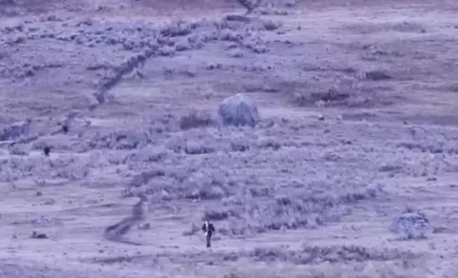 男子遊美國黃石國家公園無視安全規定挑釁5隻野生黑狼遭包圍。影片截圖