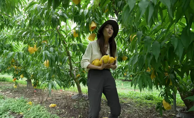 「好奇寶寶」Tiffany表情包大公開。