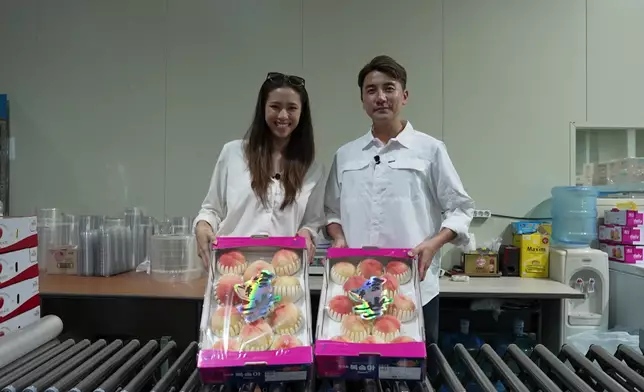 二人隨後前往當地果園，親手採摘一年僅收成一次的粉嫩川中桃。