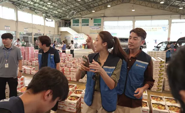 結果用130蚊港紙投得250箱提子？！