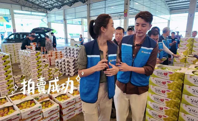 結果用130蚊港紙投得250箱提子？！