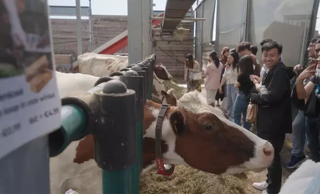 荷蘭考察團參觀全球首座漂浮農場，認識城市農業如何實現飼料、能源與養分的綠色循環。