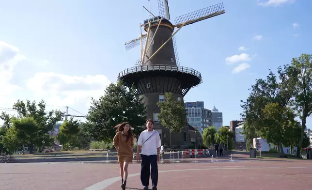 探究鮮花的溫室。