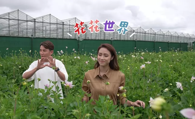 探究鮮花的溫室。