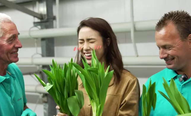 二人參觀種植鬱金香的溫室時，員工都被Tiffany魅力俘虜，不斷送鬱金香畀Tiffany。