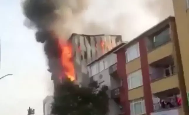 Mr. TigeR Bay X圖片