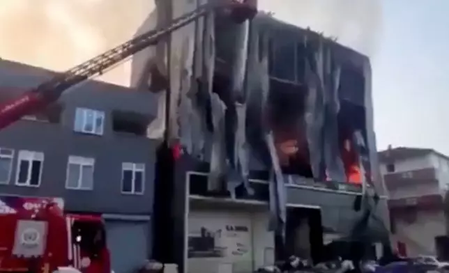 Mr. TigeR Bay X圖片