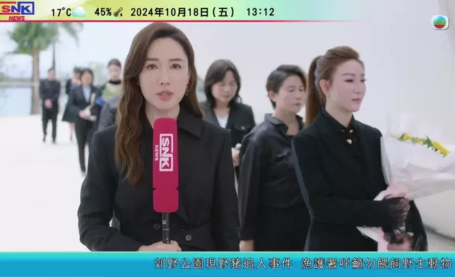 李施嬅顏值演技俱獲讚。